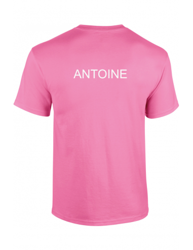 TS H 53 Saint Martin AZALEA