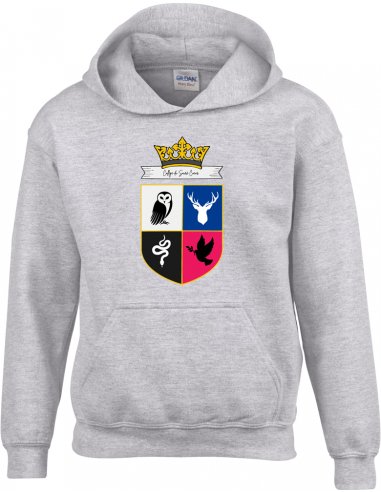 54-NAN-COL-SC-SWEAT E COEUR ASH