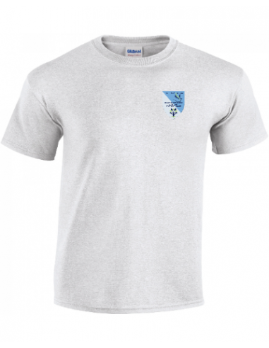 tee shirt homme ash logo couleur sillé