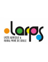 64130 - LARPS